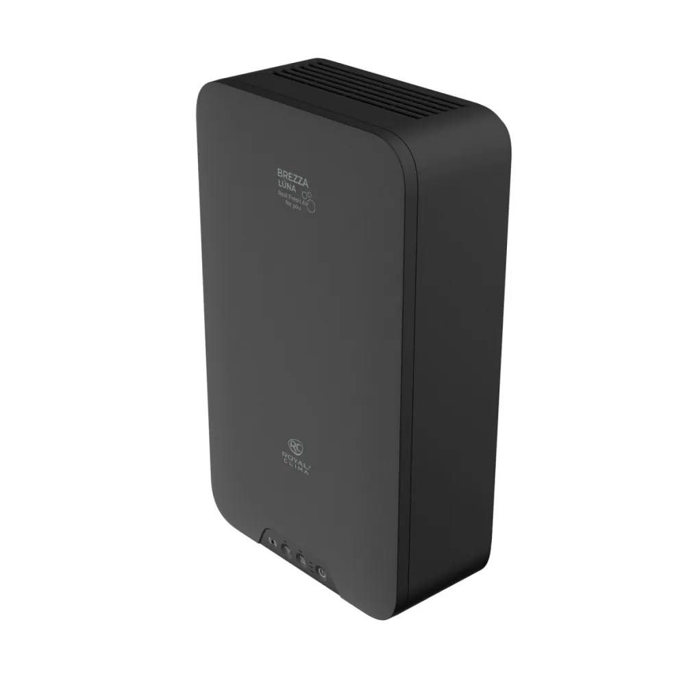 Приточно-очистительная установка Royal Clima Brezza Luna RCB 80 LUX
